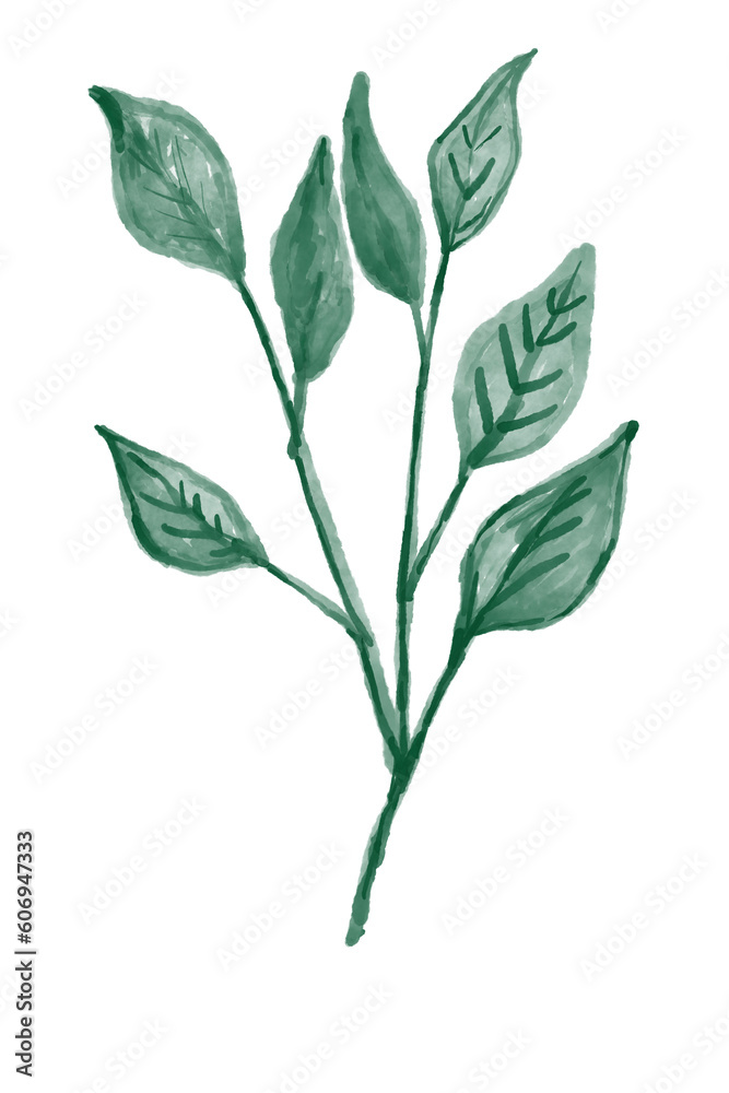 Obraz premium leaves isolated on white background