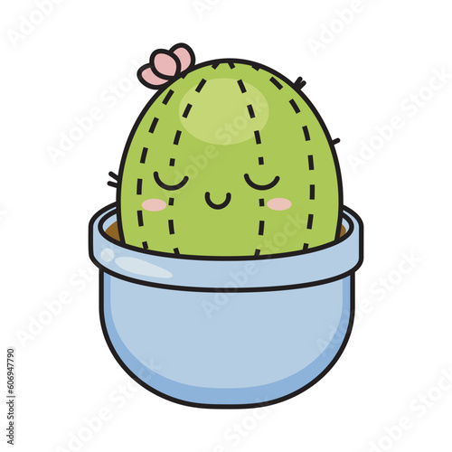 cactus in pot
