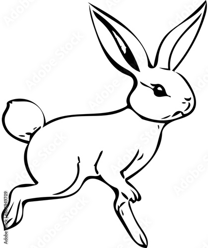 illustration of a rabbit   A jumping rabbit isolated on white background   Silhouette of a bunny  © Ahsan