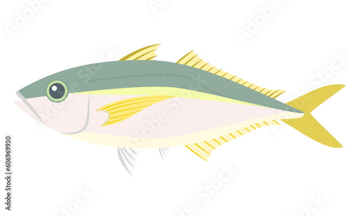 鯵のイラスト