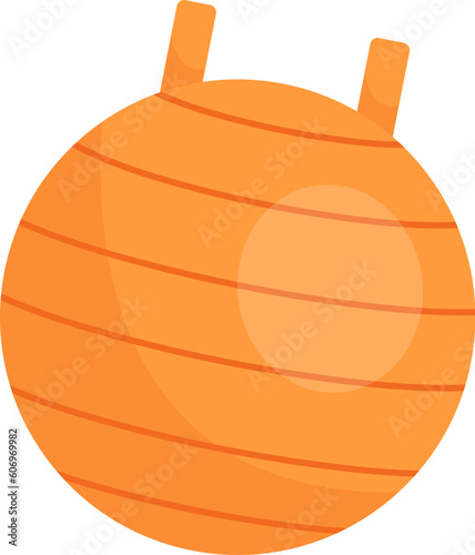 Exercise Ball Gym
