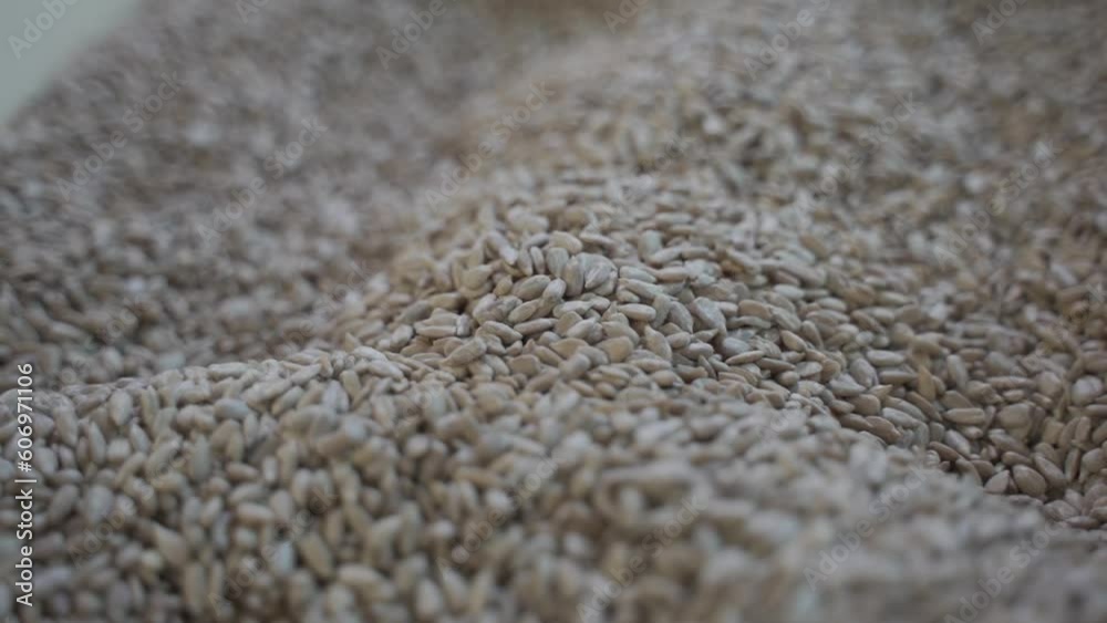 high-quality intake of many sunflower seeds Buy high-quality intake of many sunflower seeds Buy