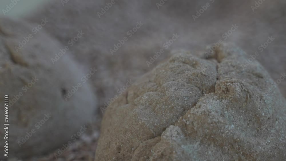 bread dough lies in a pile of sunflower seeds bread dough lies in a pile of sunflower seeds
