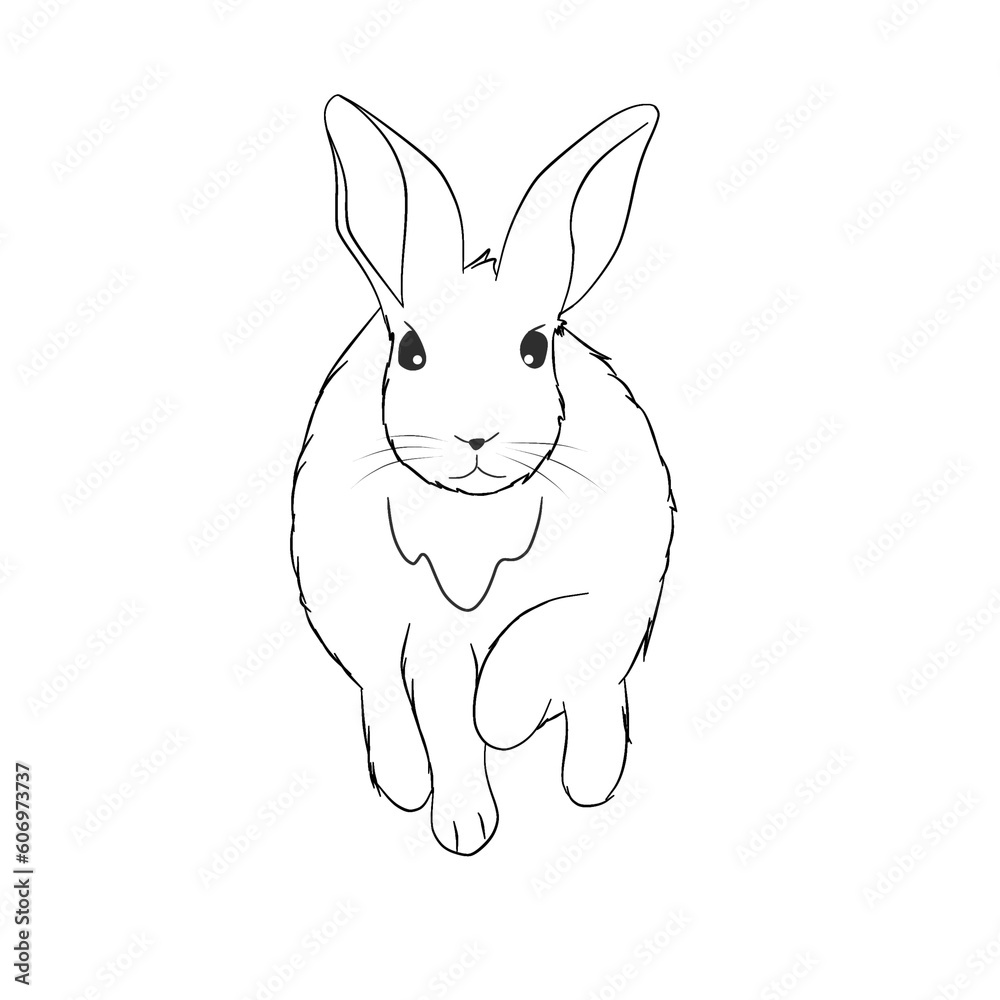 Fototapeta premium Skating rabbits jumped in