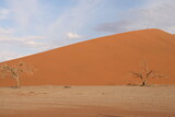 【ナミビア】ナミブ砂漠 - Dune 45