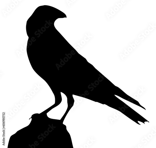 vector of a crow silhouette on top of a rock