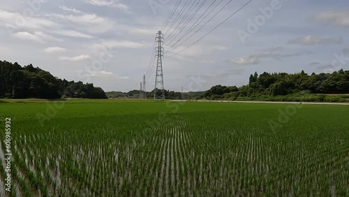 田舎