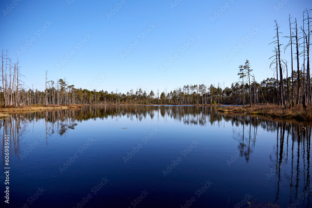 Lake surounded by the forest with blue sky above with few white clouds, selective focus Lake surounded by the forest with blue sky above with few white clouds, selective focus