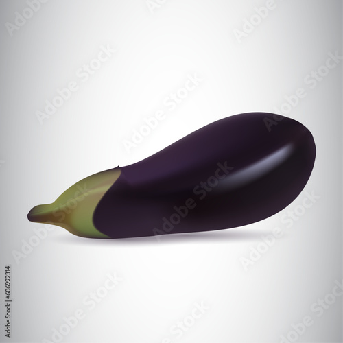 Vector eggplant isolated on white background