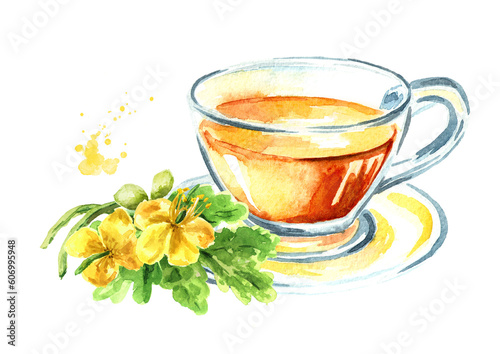 Herbal tea with fresh Celandine flower,  herbal medicine, medical plant. Hand drawn watercolor illustration   isolated on white background