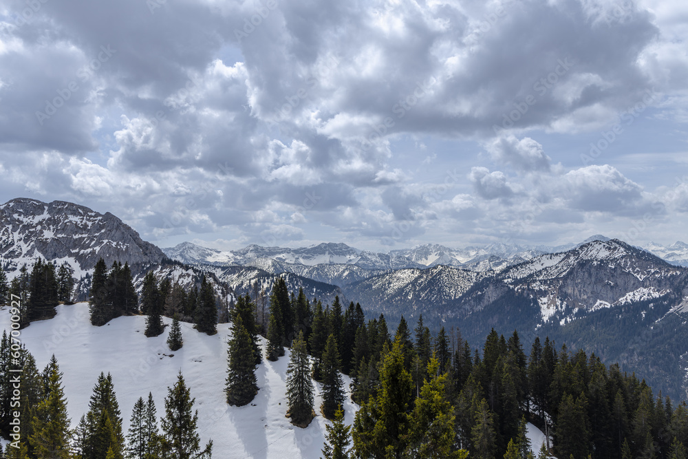 Majestic Snow-Capped Pine Wilderness in Bavarian Alps Majestic Snow-Capped Pine Wilderness in Bavarian Alps