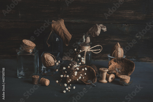 still life with nuts