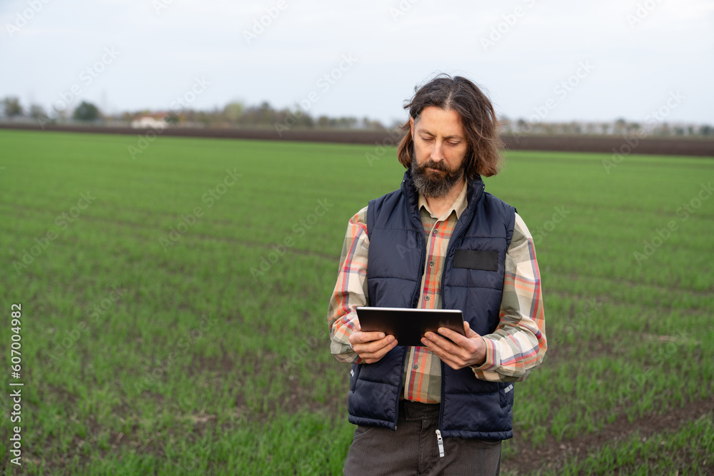 Farmer with digital tablet in young wheat field. Smart farming and digital agriculture	