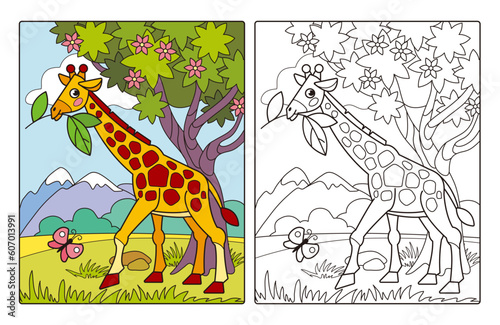 Coloring page with cute cartoon giraffe in the savannah. Coloring book with line black and white illustration and colorful example for kids.
