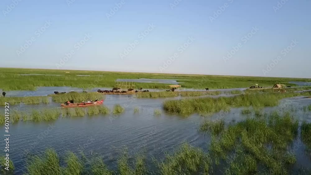 Drone shot The marshes of Iraq Mesopotamian Marshes Drone shot The marshes of Iraq Mesopotamian Marshes