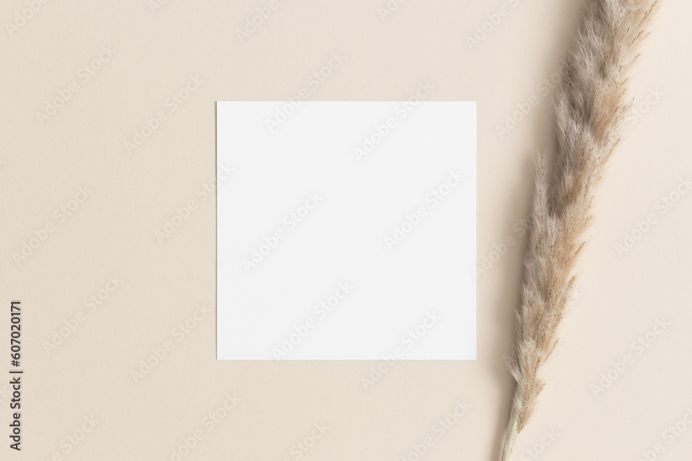 Square invitation card mockup with a pampas on the beige table. Square invitation card mockup with a pampas on the beige table.