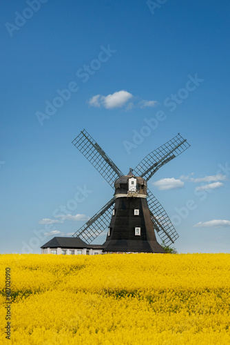 Windmühle vor einem Rapsfeld und blauem immel
