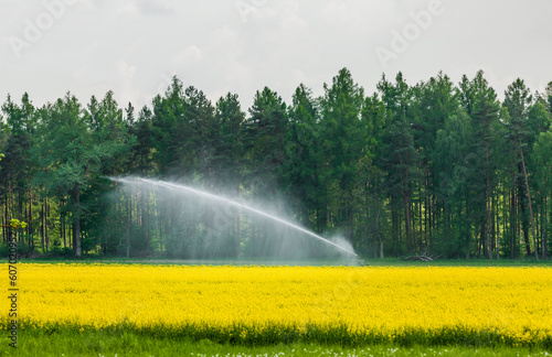 Wassersprenger an einem Rapsfeld
