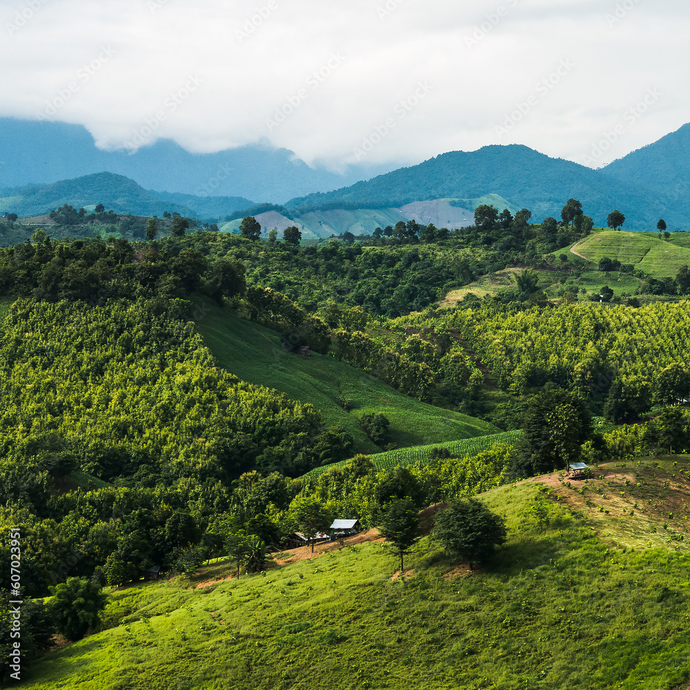 Obraz premium landscape in the mountains in nan thailand