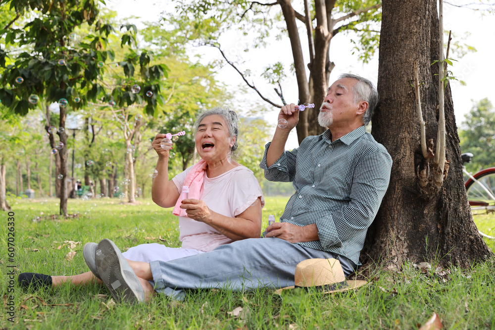 Fototapeta premium Portrait of happy asian senior man and woman blowing bubbles together in a park with joy in summer garden outdoor. Lover couple going to picnic at the park. Happiness marriage lifestyle concept.