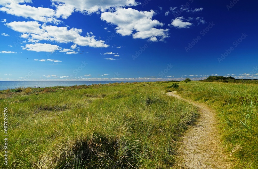 Obraz premium Image of a road surrounded with grass in both sides and a beautiful sky above