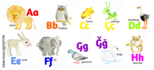 Fototapeta Naklejka Na Ścianę i Meble -  Turkish letters, the alphabet, illustrated with funny pictures of animals from A to H on a white background.