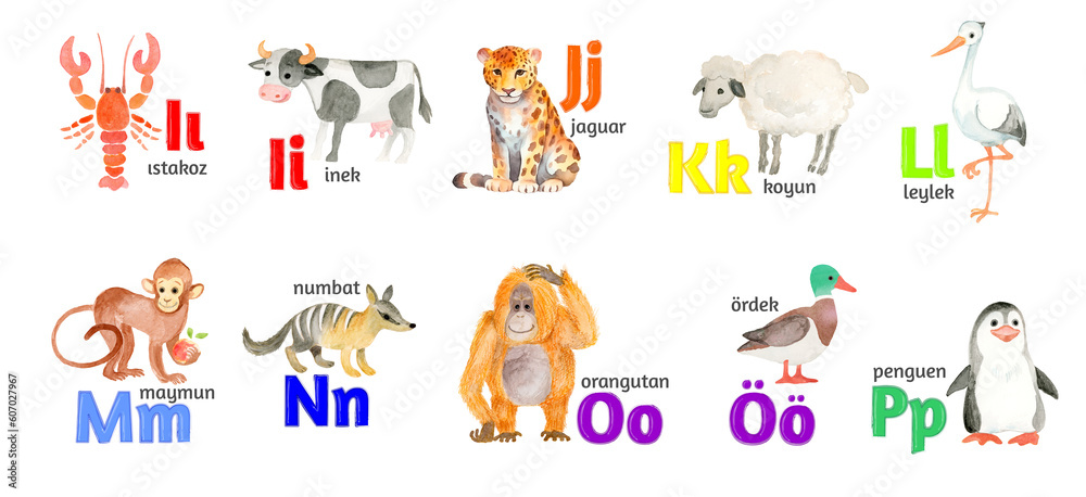 Fototapeta premium Turkish letters, the alphabet, illustrated with funny pictures of animals from I to P on a white background.