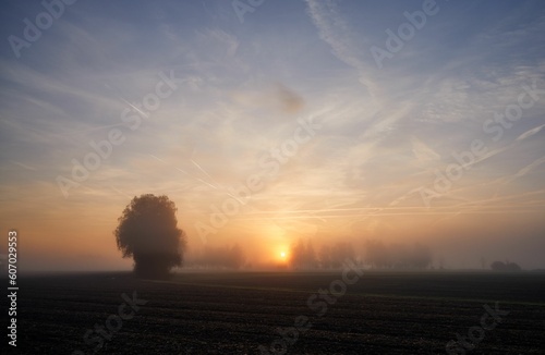 Sunrise with mist on a farm in Moos, Bavaria, Germany