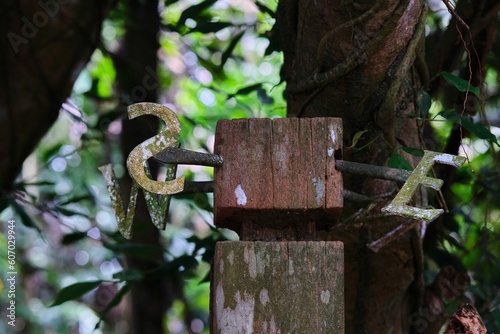 Fototapeta Metal stick on a wooden pole with S and E initial names in the forest, memorizat