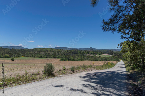 Land intended for plantation with Araucaria forest in the background and mountains of Serra da Esperança, in Rio Azul, Parana, Brazil.