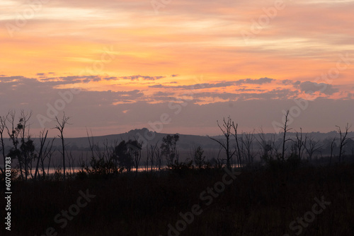 African sunrise in Rietvlei Nature Reserve