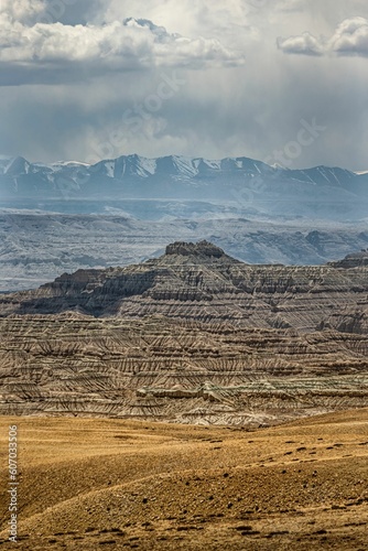 Vertical shot of the Earth forest landform in Zanda County, Tibet, China. photo