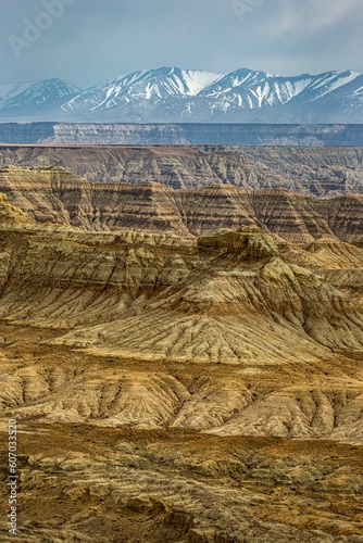 Vertical shot of the Earth forest landform in Zanda County, Tibet, China. photo