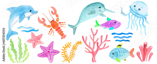 Set of drawings of sea animals  seaweed and coral on a white background