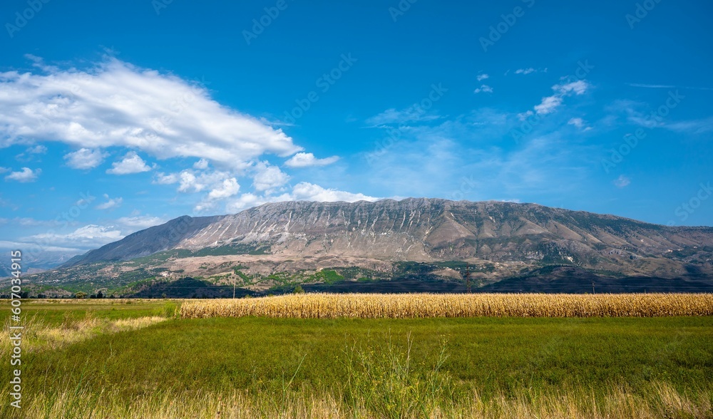 Beautiful landscape of a green field on the background of a rocky mountain