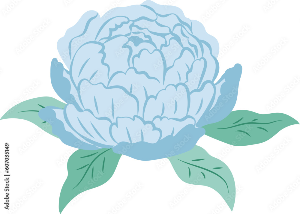 Obraz premium Blue Peony Flower Isolated Illustration