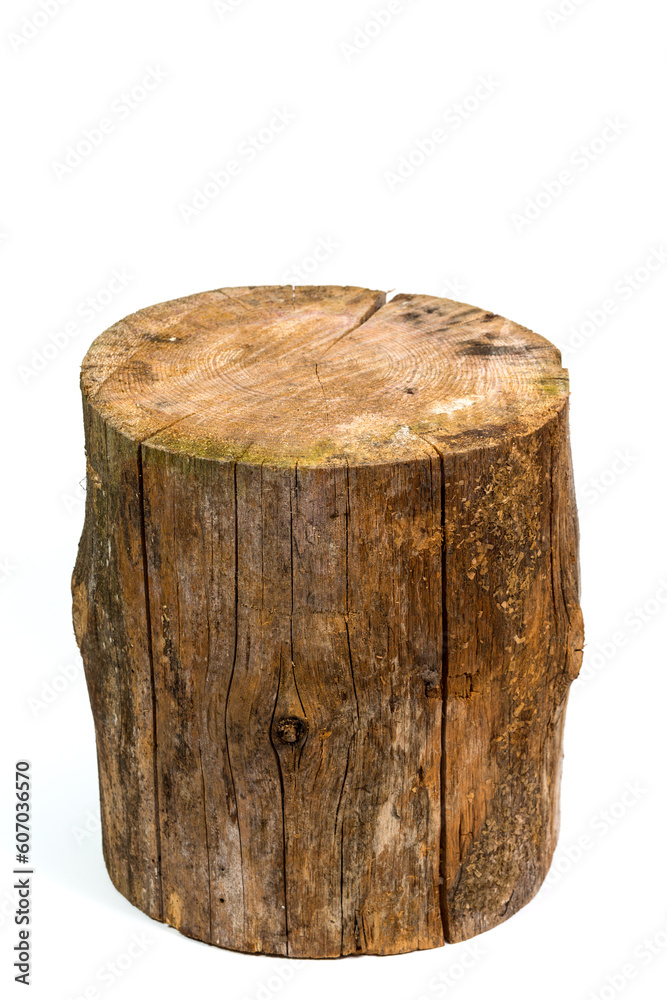 log isolated on a white background log isolated on a white background