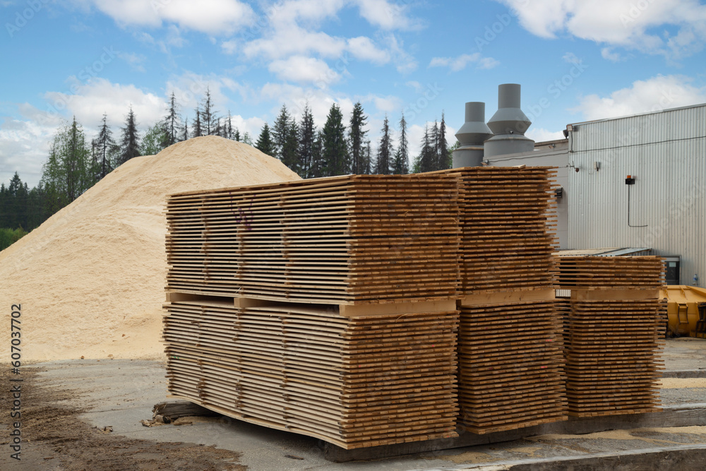 Industrial plant sawmill - production of wooden boards with modern machines Industrial plant sawmill - production of wooden boards with modern machines
