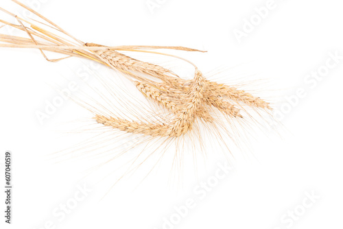 ears of wheat isolated on white