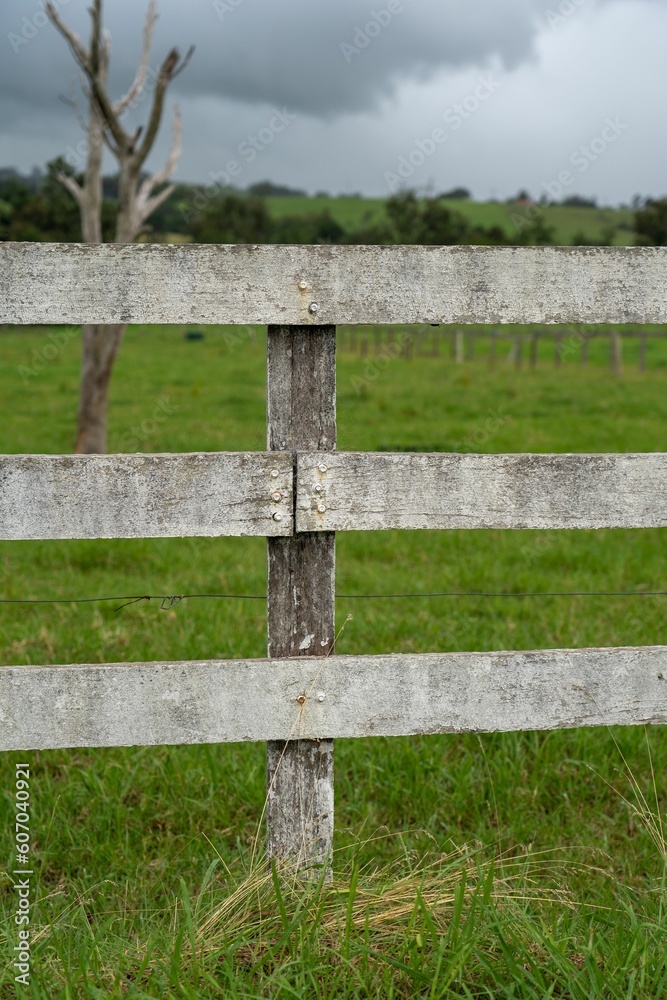 Vertical shot of a white fence on a farm in the country