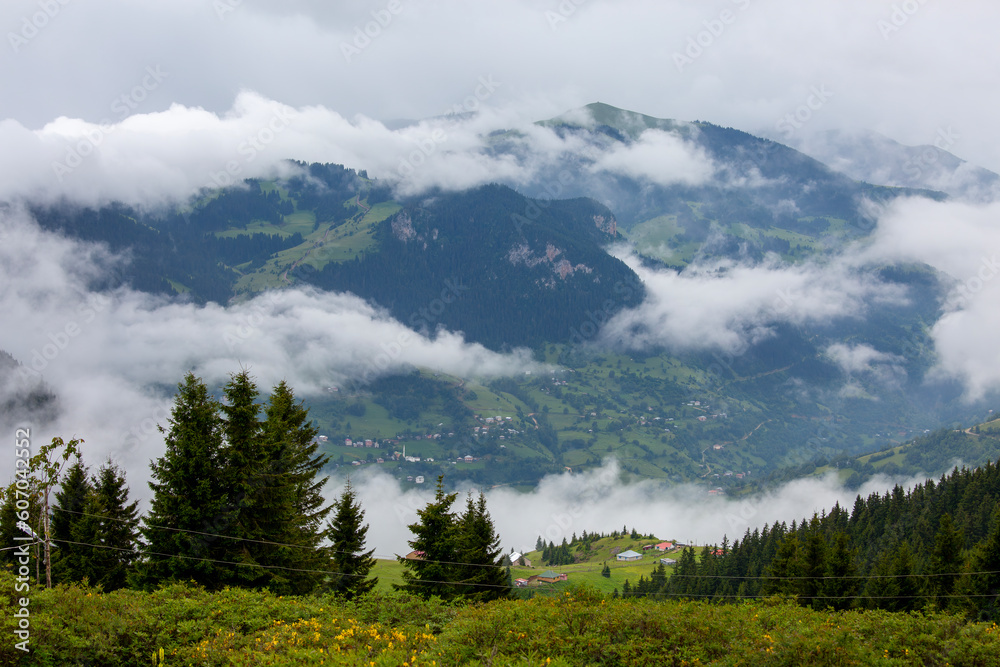 Fototapeta premium Giresun Province, Kulakkaya highland lush nature and houses and animals in the highland