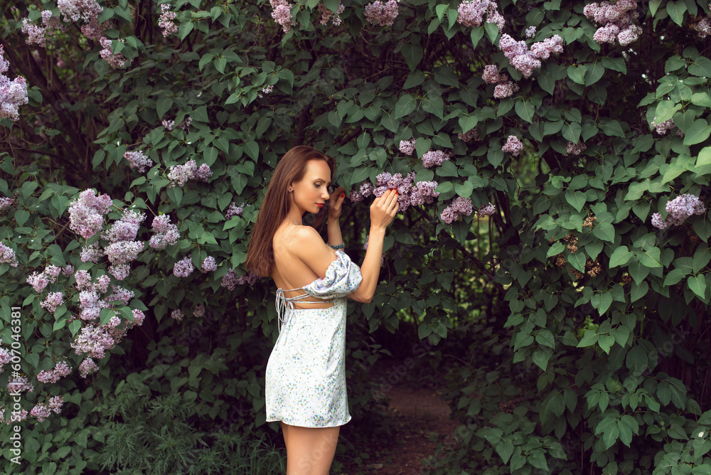 Evening in the botanical garden when the lilac blossomed Evening in the botanical garden when the lilac blossomed