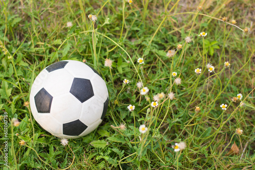 soccer ball on soccer field soccer ball on green grass