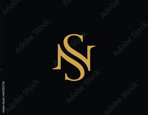 Simple Initial Letter SN Gold Logo Design Template