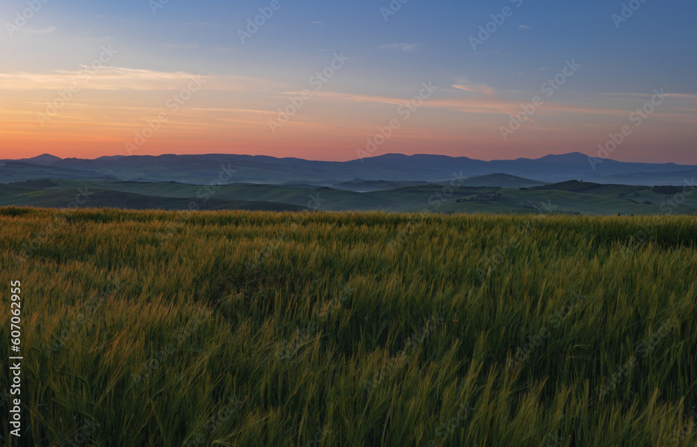 Tuscany fields in springtime, sunrise foggy mood,, Val d'Orca, Pienza region