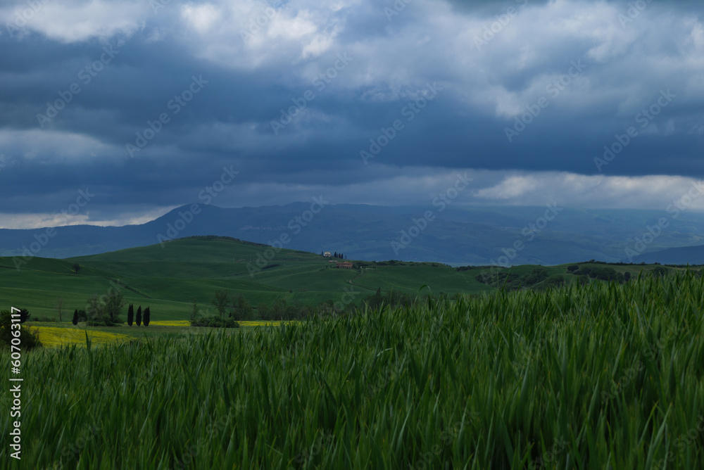 Tuscany fields in springtime, cloudy day mood, Val d'Orca, Pienza region Tuscany fields in springtime, cloudy day mood, Val d'Orca, Pienza region