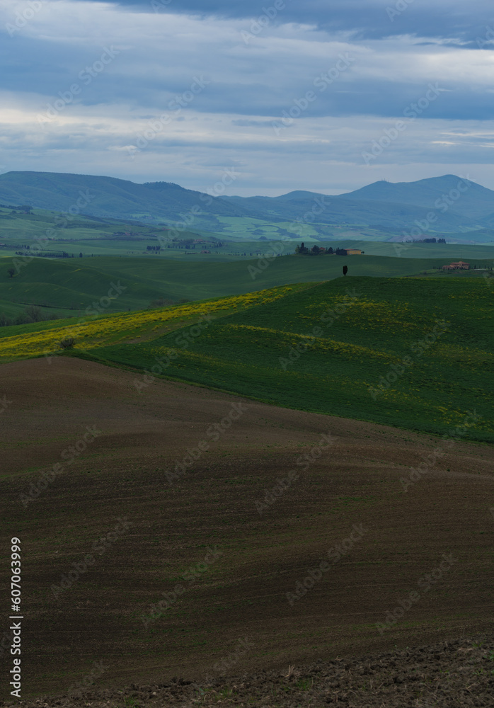 Fototapeta premium Tuscany fields in springtime, cloudy day mood, Val d'Orca, Pienza region