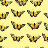 Seamless pattern yellow butterfly, natural, fauna, great for textile, background, wallpaper