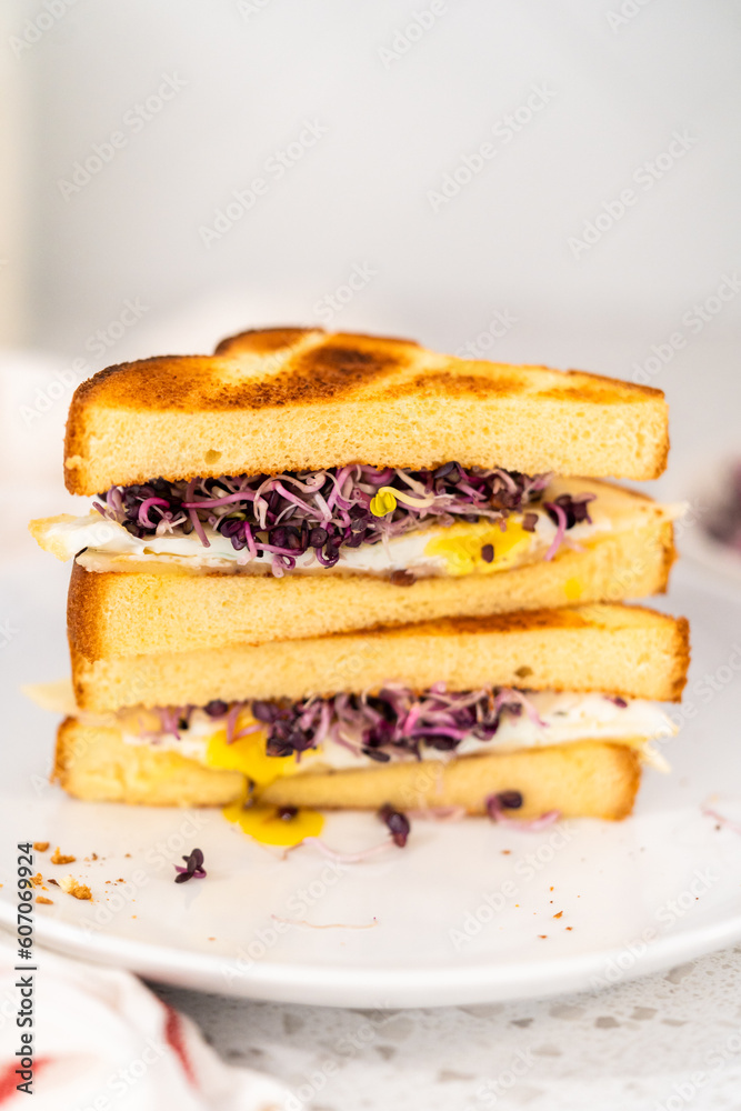 Breakfast Egg and Sprouts Sandwich Breakfast Egg and Sprouts Sandwich