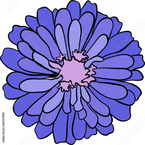 Blue Late Summer Flower Illustration Vector